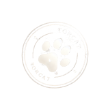 Cat Stamp