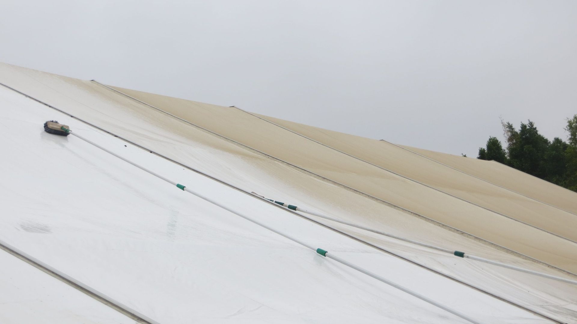 Los Willows – Oceanside and Fallbrook Locations