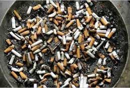 Dirty cigarette butts on ground