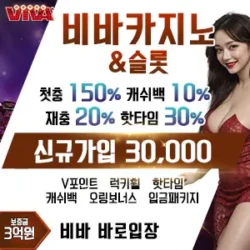 비바카지노
