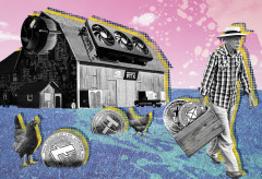 Что такое майнинг-ферма