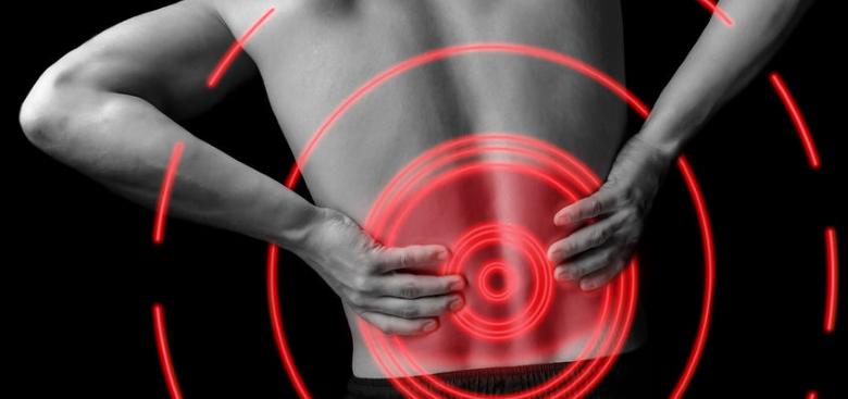 Muscle / Back / Joint Pain