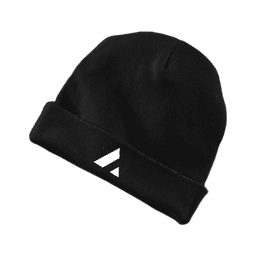 FCH Beanie