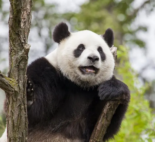 How to Plan Your Family Trip to China