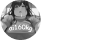 LLM