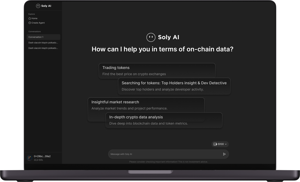 Soly AI Chat Interface