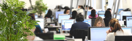 English for Customer Service