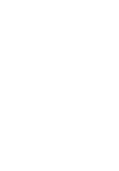 وکیل حرفه‌ای