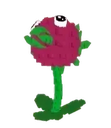 Dragon Fruit