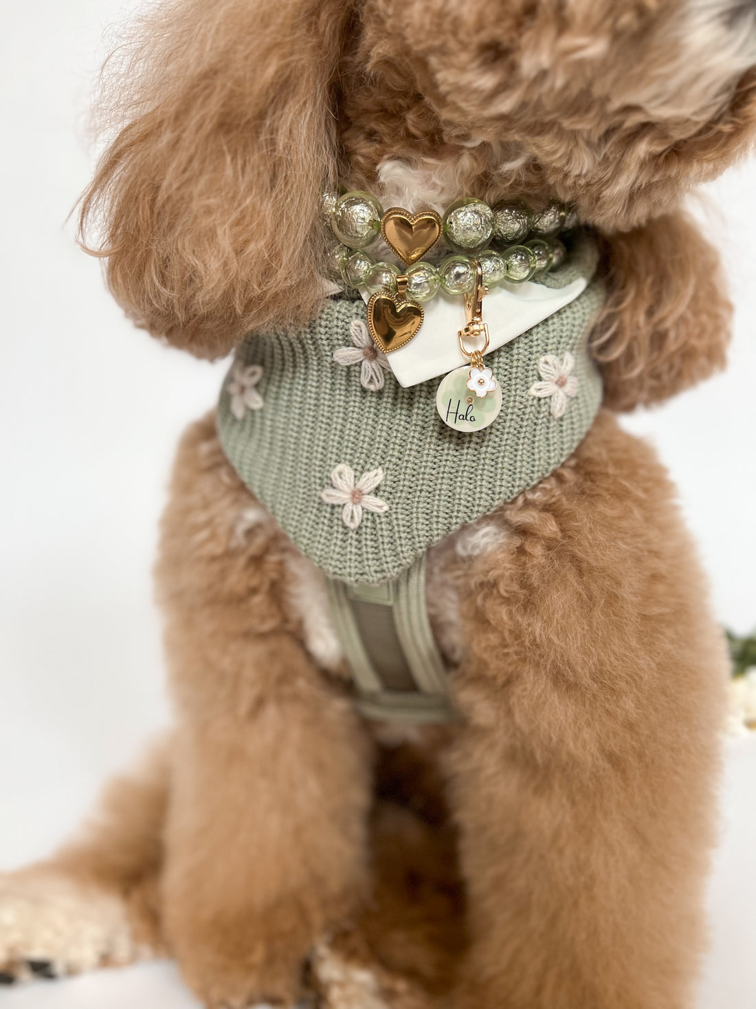 Ribbon Tie