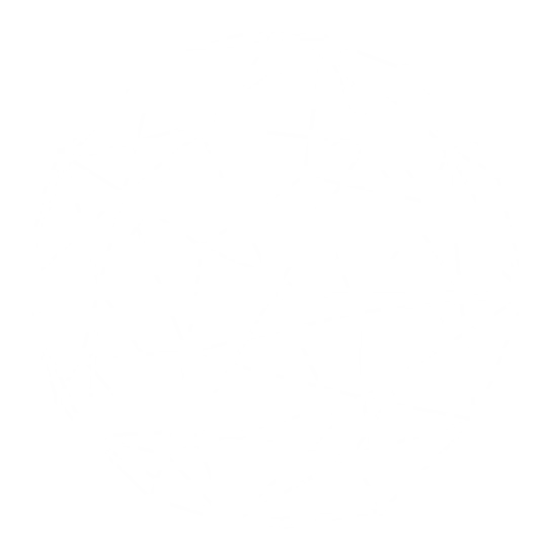3D Mesh