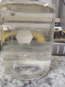 DAF Effluent Sample