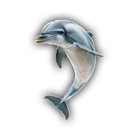 Dolphin left