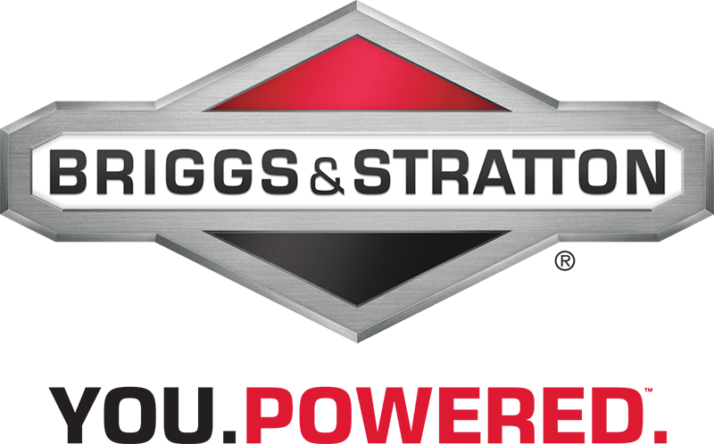 Briggs & Stratton