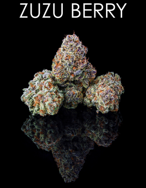 Zuzu Berry: The Latest Sativa in Our Lineup
