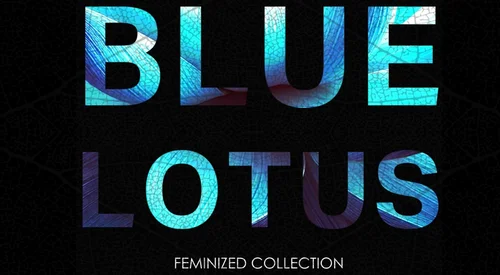 The Blue Lotus Feminized Seed Collection