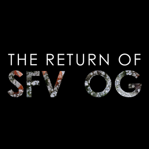 The Return of SFV OG