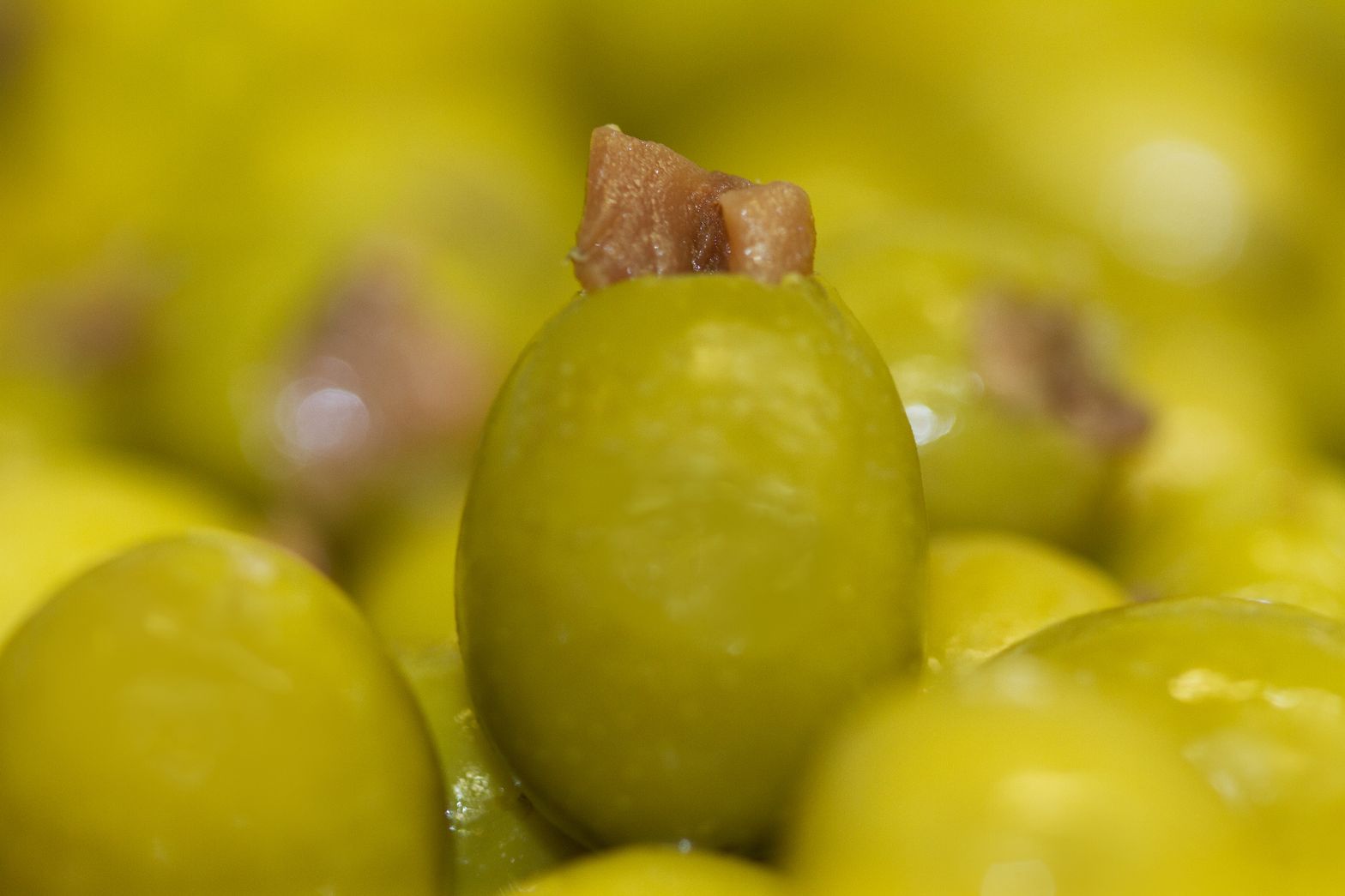 Olives Farcides