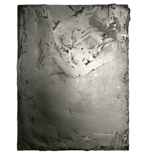 Mutation - image 1