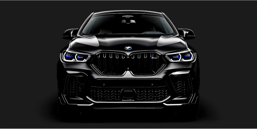 BMW X6M