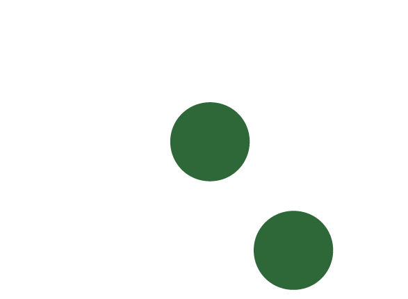 Tapetes São Carlos Logo