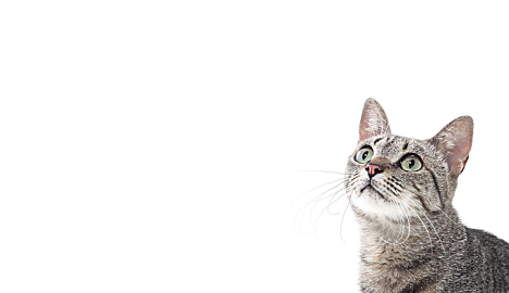 Товары для детей