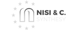 NISI&C SYNTHESY Logo