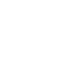 Repolite App