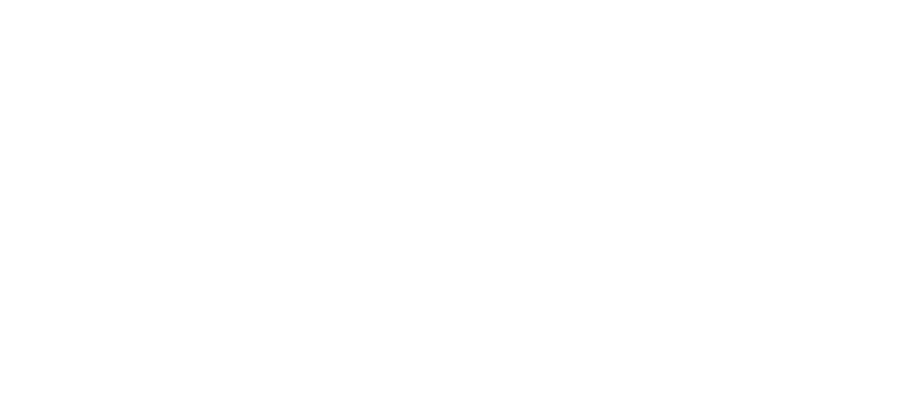 pHit logo