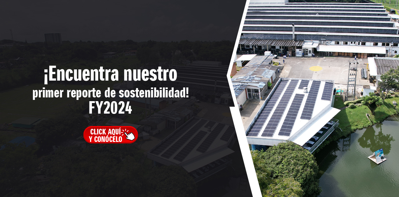 Reporte de sostenibilidad banner