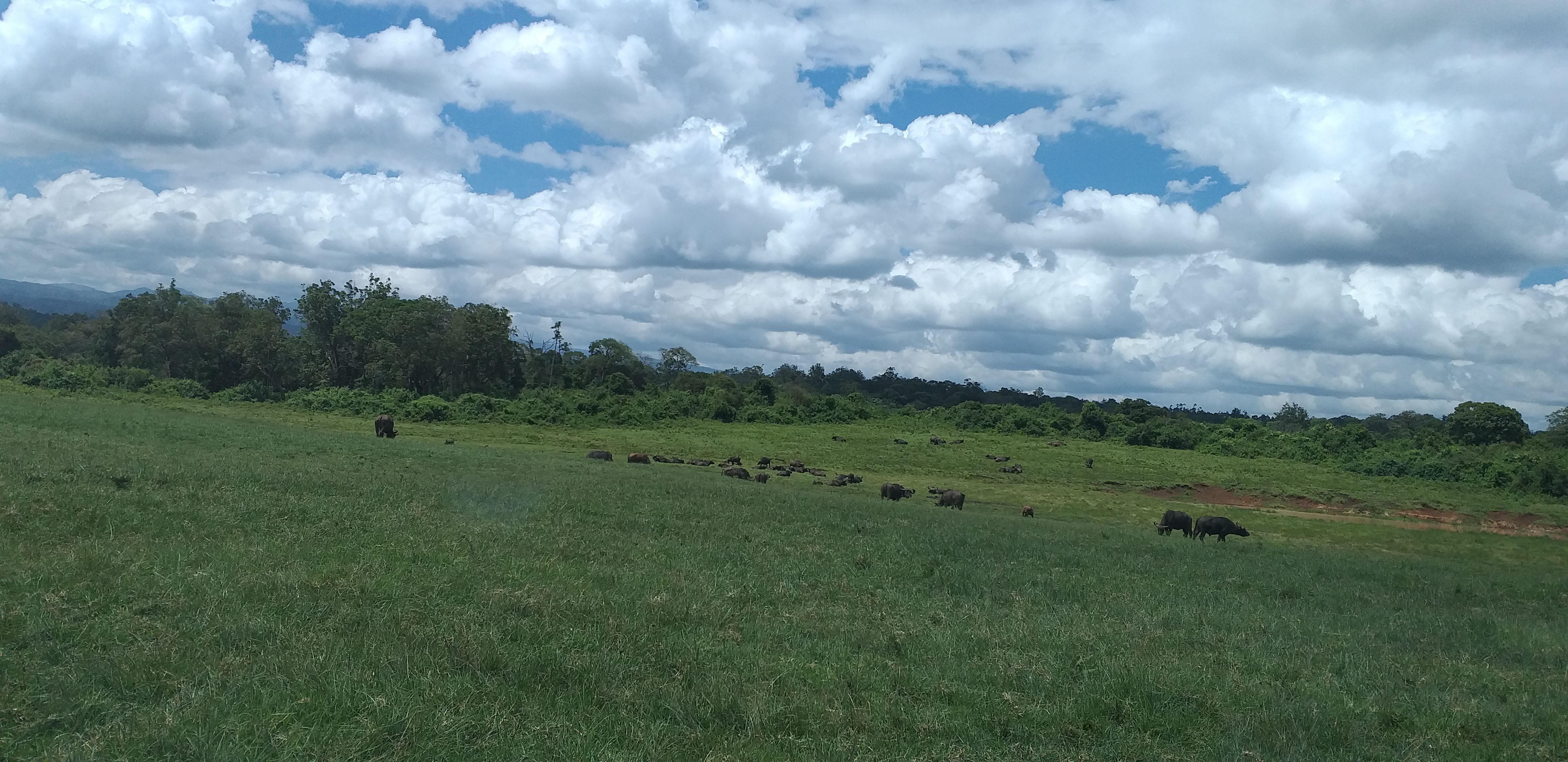 50 Acres in Isinya Land for Sale