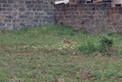 Syokimau Katani Road Plots for Sale