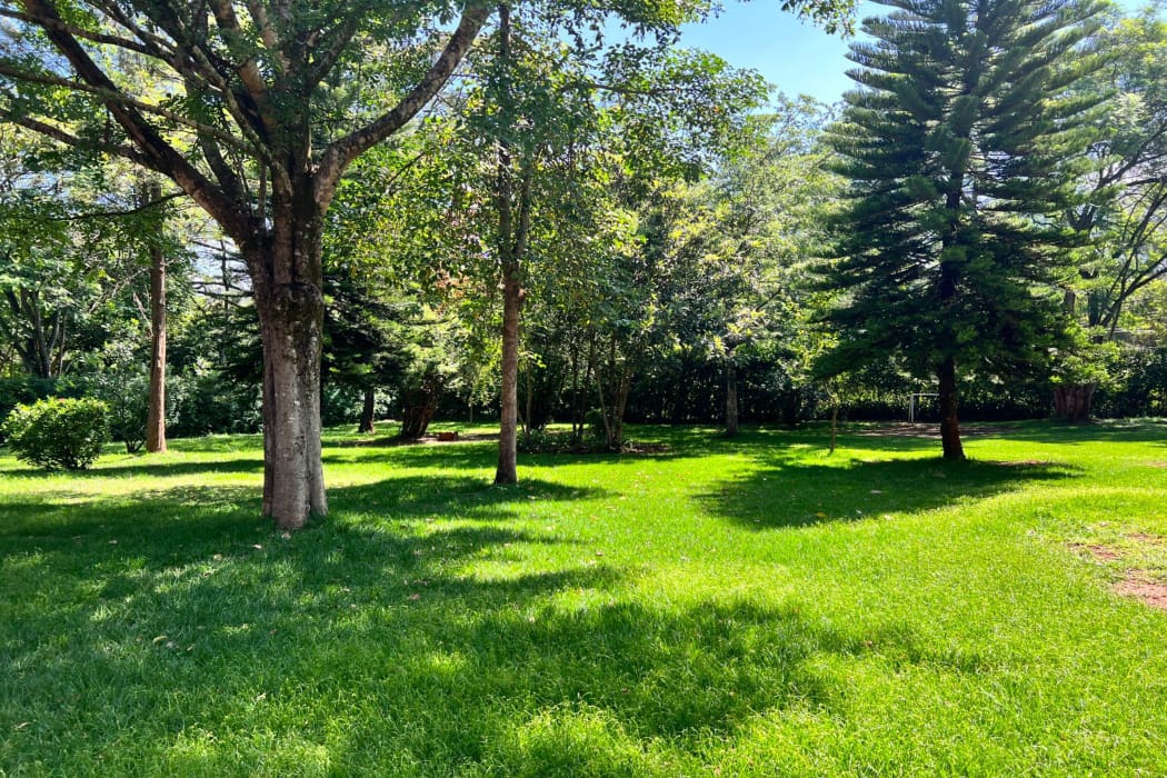 Fully Serviced Plots for Sale in Ngong Oluulua Ngong 46