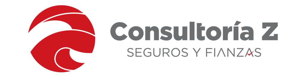 Consultoría Z