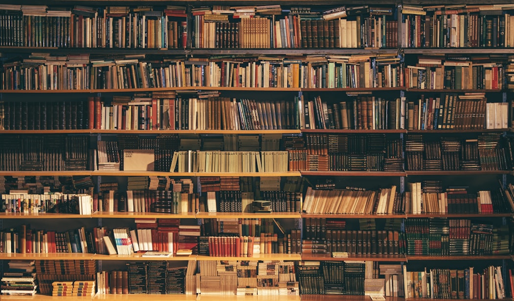Person reading a book