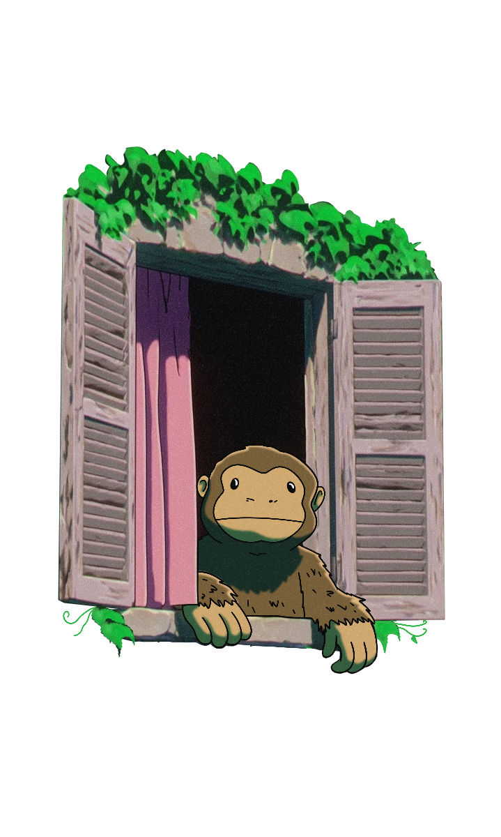 Jemo Monkey in Window