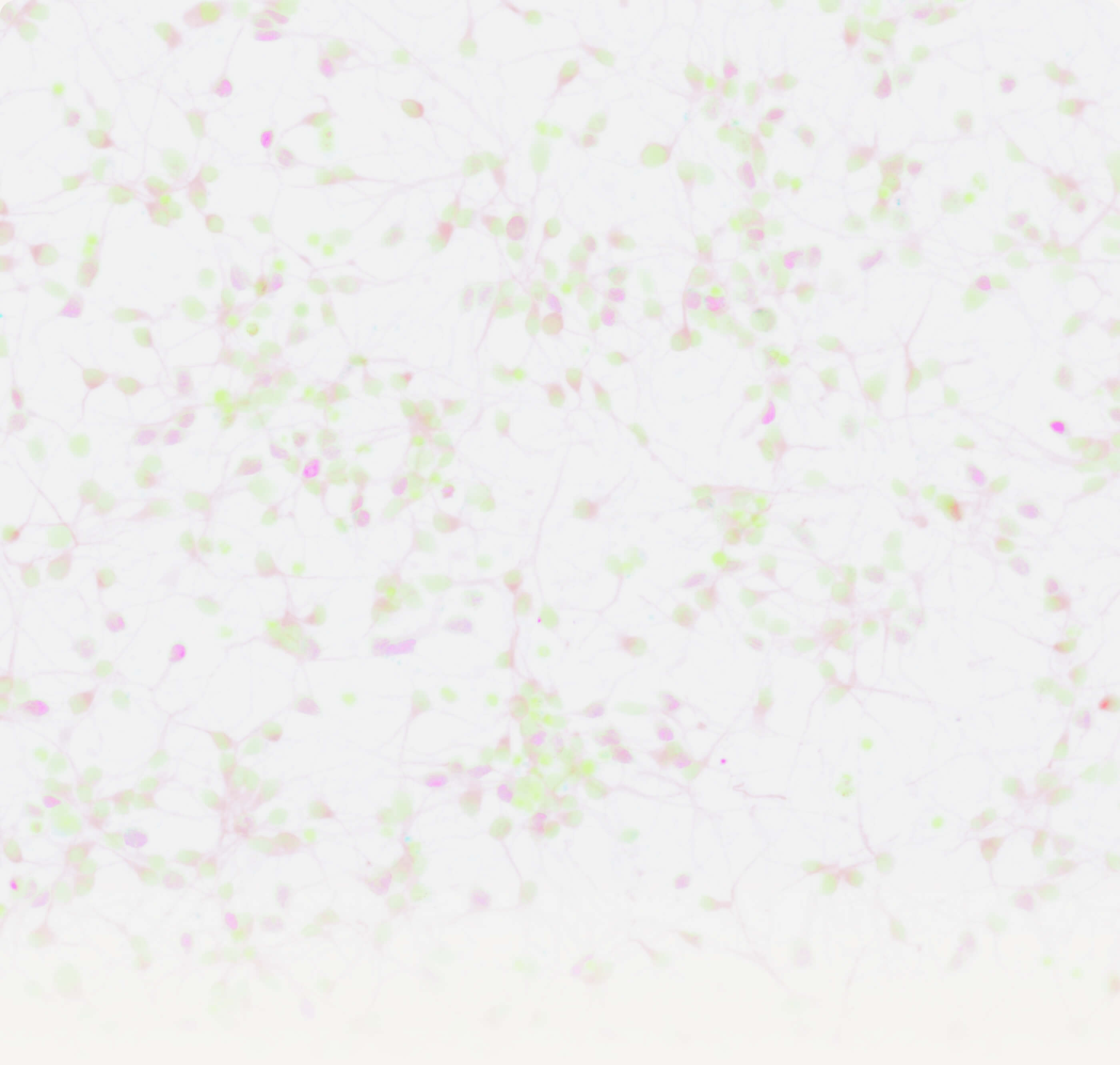 Feature background