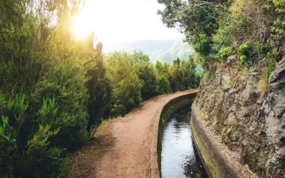 ULTIMATE GUIDE FOR WALKING THE LEVADA TRAILS OF MADEIRA IN 8 DAYS