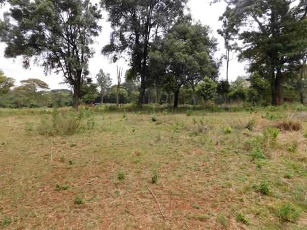 9 acres vacant land for sale in Karen