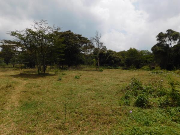 9 acres vacant land for sale in Karen - Image 3