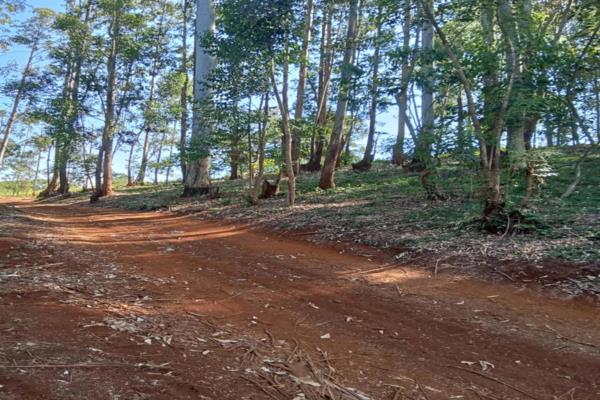 7.9 acres vacant land for sale in Redhill