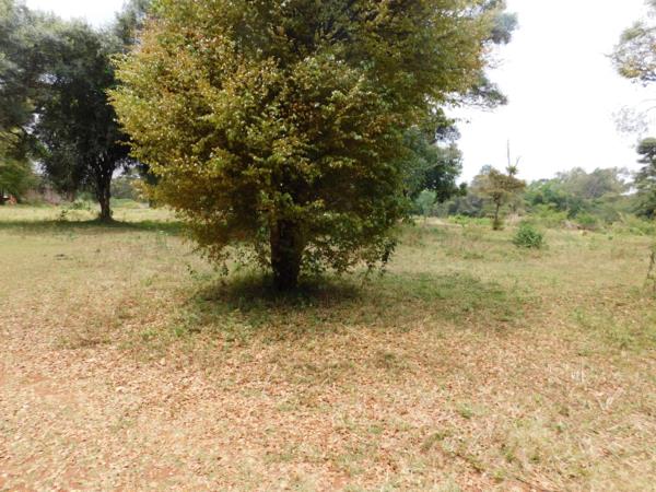 9 acres vacant land for sale in Karen - Image 2
