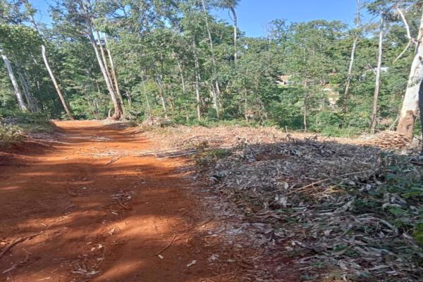7.9 acres vacant land for sale in Redhill - Image 3