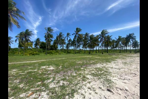 15 acres vacant land for sale in Kikambala - Image 3