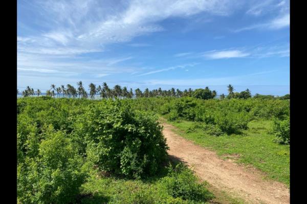 15 acres vacant land for sale in Kikambala - Image 2