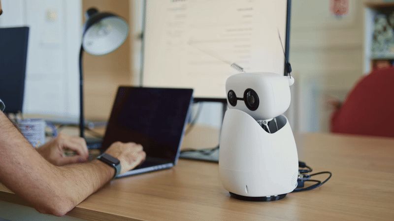 Reachy Mini Robot