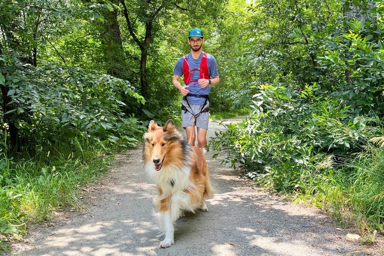 A Complete Guide to Running with Your Dog