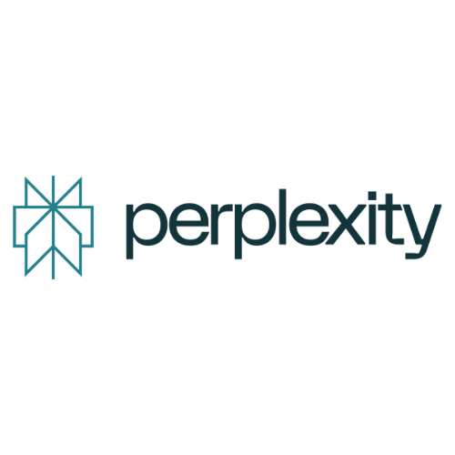 Perplexity