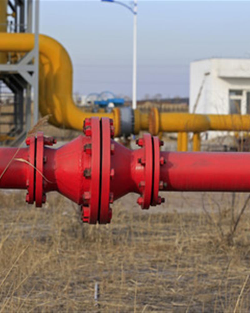 30+ Years of Excellence