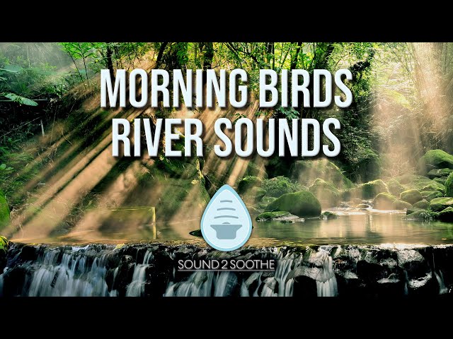 Waterfall White Noise | Study, Relax or Sleep with Relaxing Water Sounds